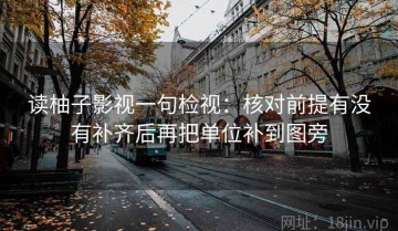 读柚子影视一句检视：核对前提有没有补齐后再把单位补到图旁
